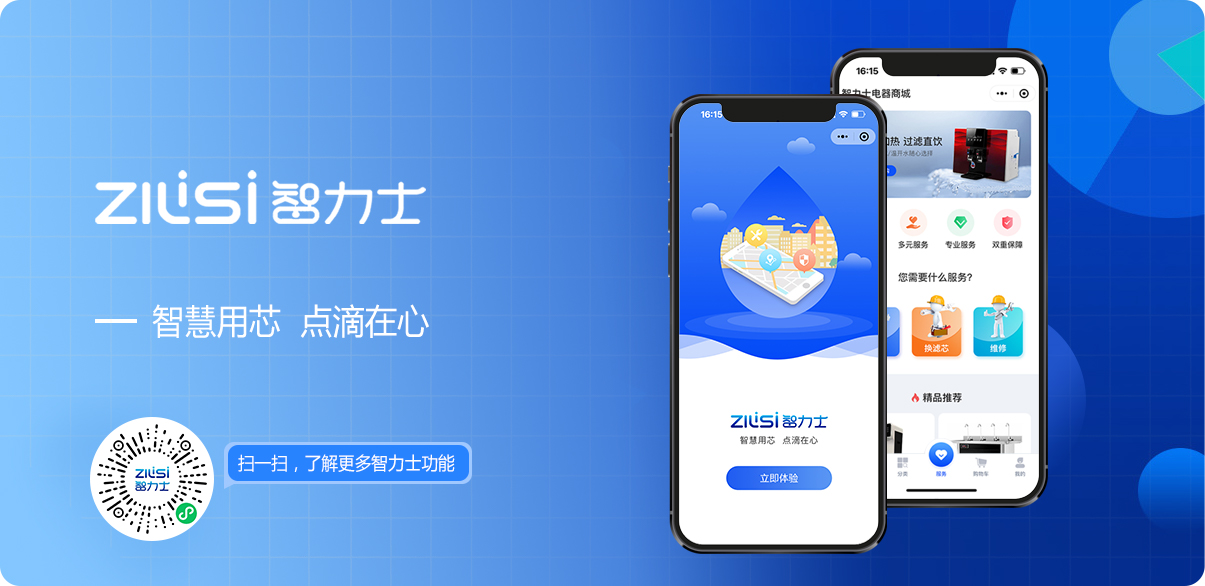 智力士